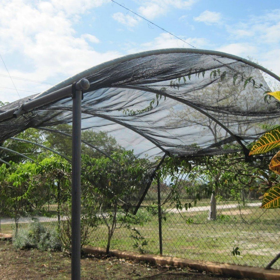 Agfabric 6x12ft black shade helps chicken coops stay comfortable.