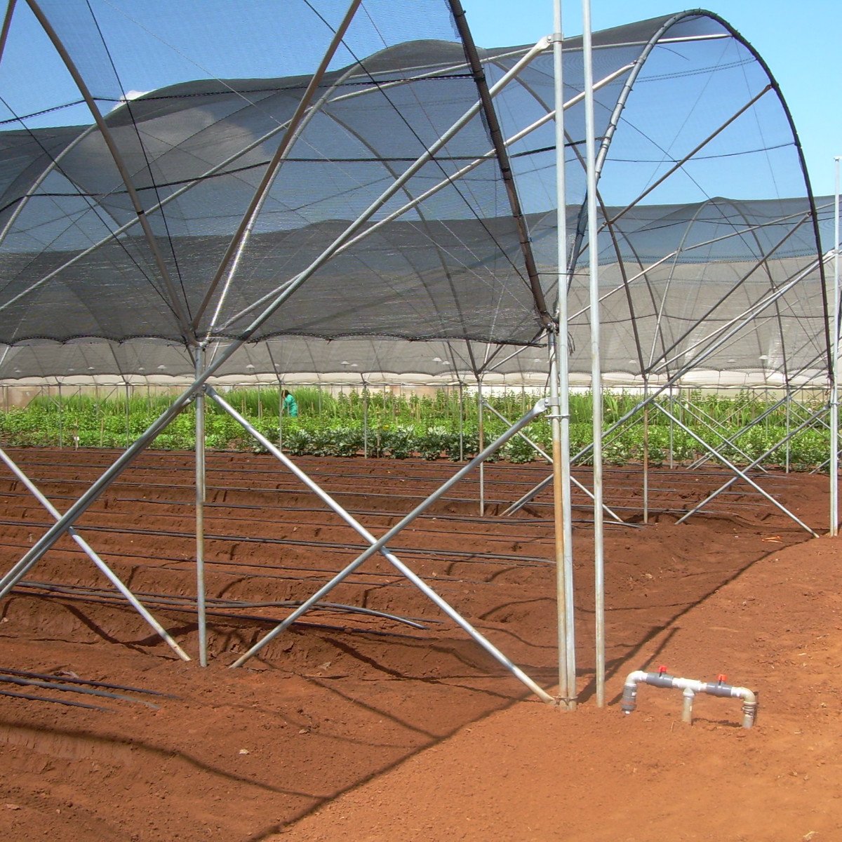 Agfabric durable HDPE knit shade reduces heat while still venting air.