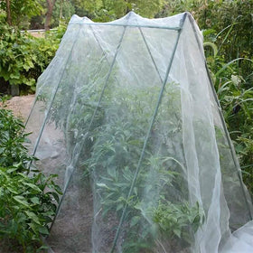 Agfabric UV and frost protection potential for summer and winter usage.