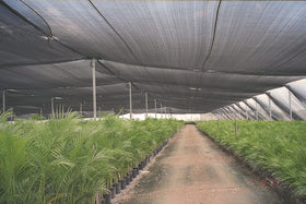 Agfabric reinforced-edges ribbons indicate easy setup for pergolas and patios.