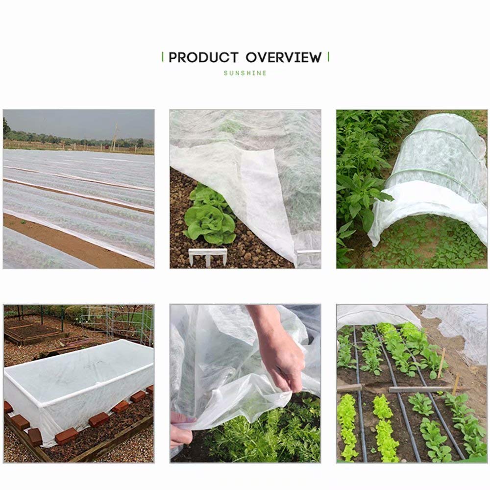 Agfabric row cover during germination stage supporting seed growth and moisture balance.