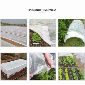 Agfabric row cover during germination stage supporting seed growth and moisture balance.