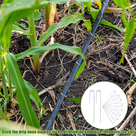 Agolctry easy-install stake helps secure drip lines quickly.