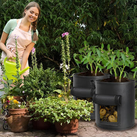 Well-draining AGOLEAM bags prevent water pooling during watering.