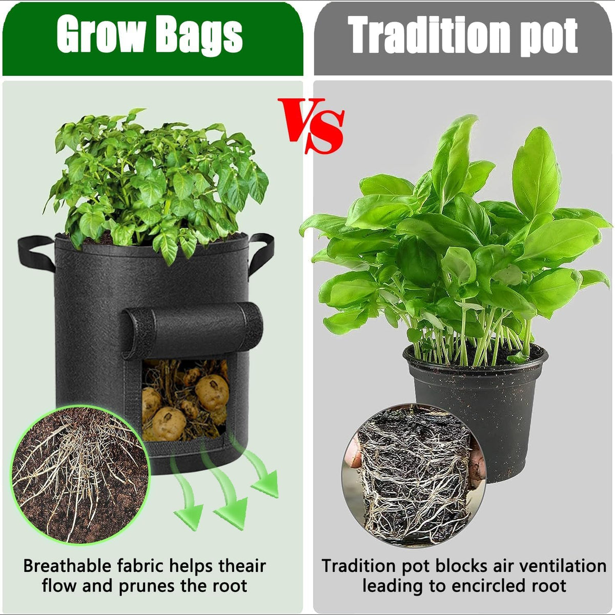 Outdoor garden setup using AGOLEAM grow bags for seasonal crops.