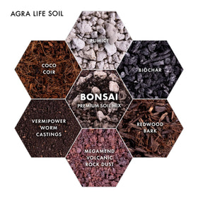Agra Life easy-maintenance soil setup supports beginners and healthy moisture balance.