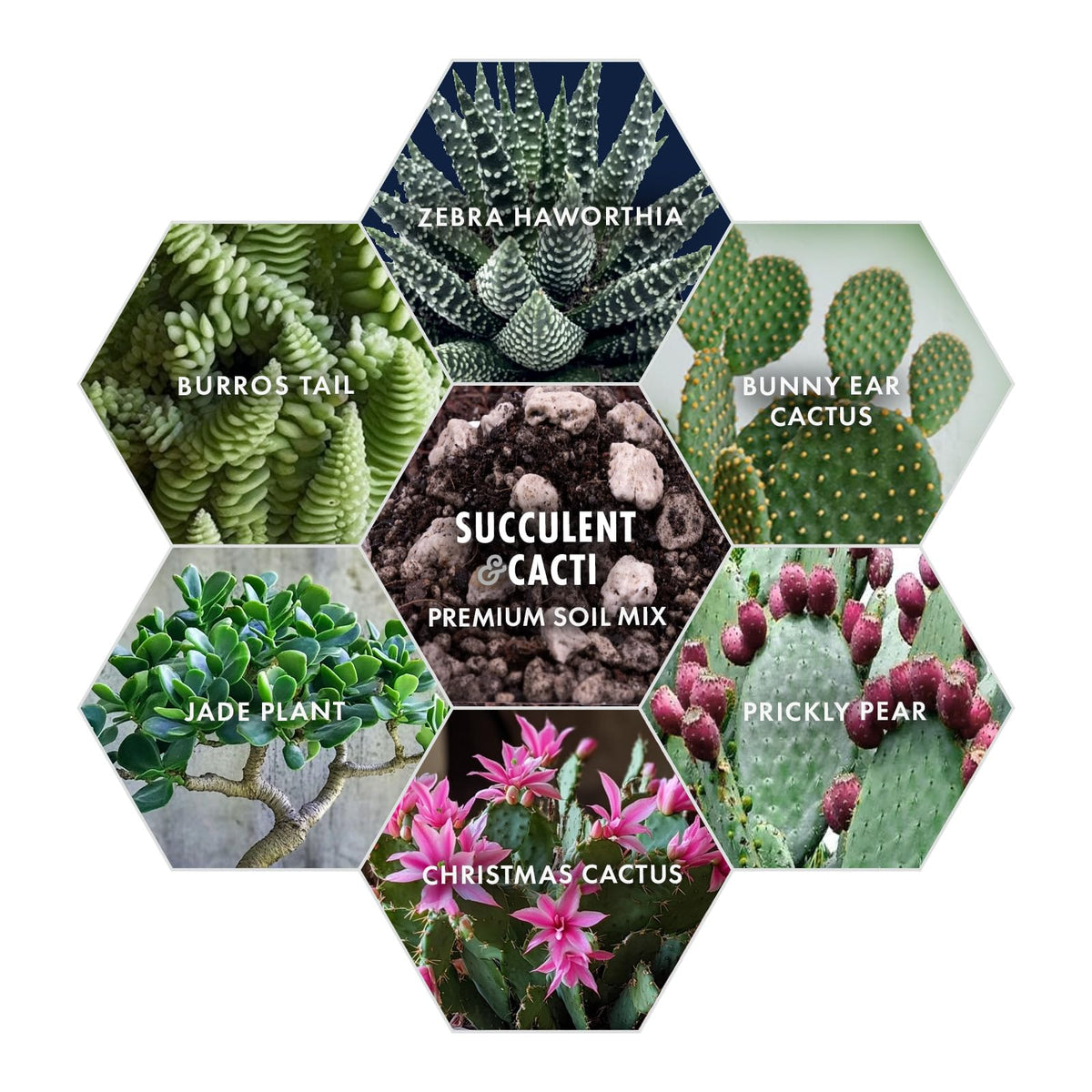 Agra Life natural formula soil mix free from chemicals.