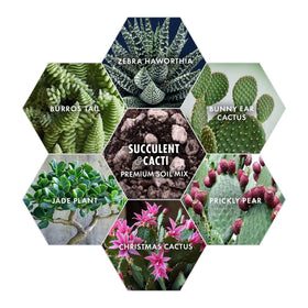 Agra Life natural formula soil mix free from chemicals.