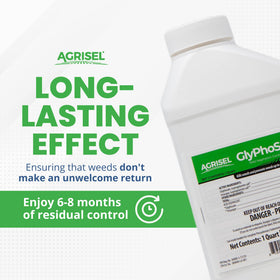 GlyPhoSel Plus being applied on a driveway edge for weed control