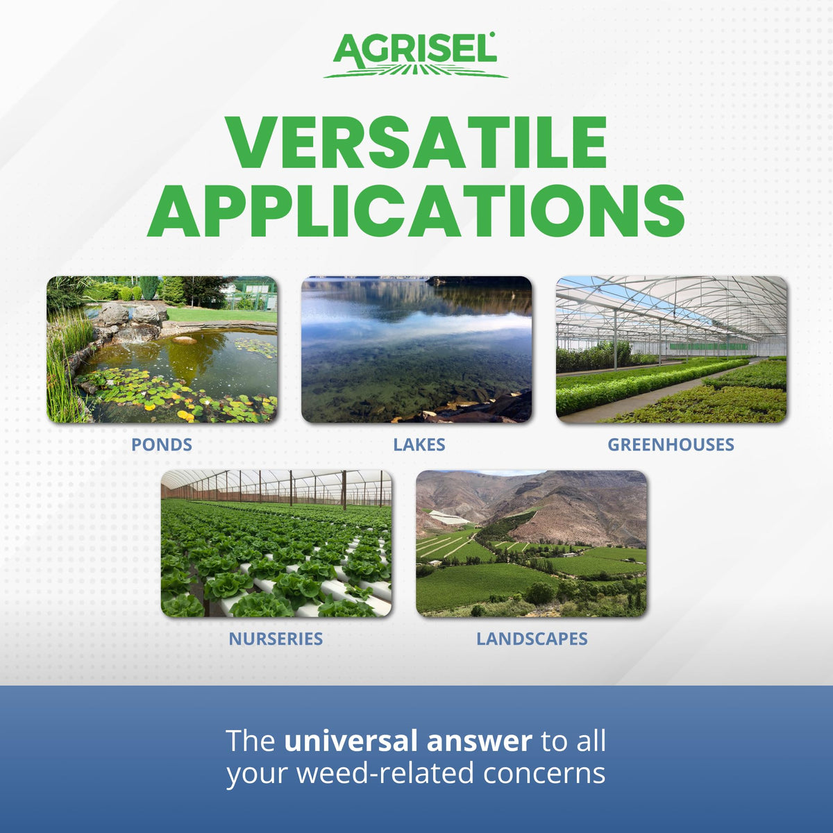 Protective gloves included with Agrisel Diquat weed killer for safe handling during application.