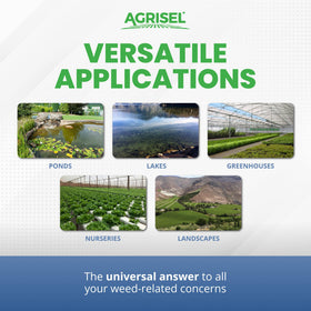 Protective gloves included with Agrisel Diquat weed killer for safe handling during application.