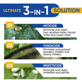 GrowSafe mist application on leaves demonstrates plant-friendly pest management.