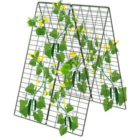 AGTEK foldable cucumber trellis assembled to support vertical growth