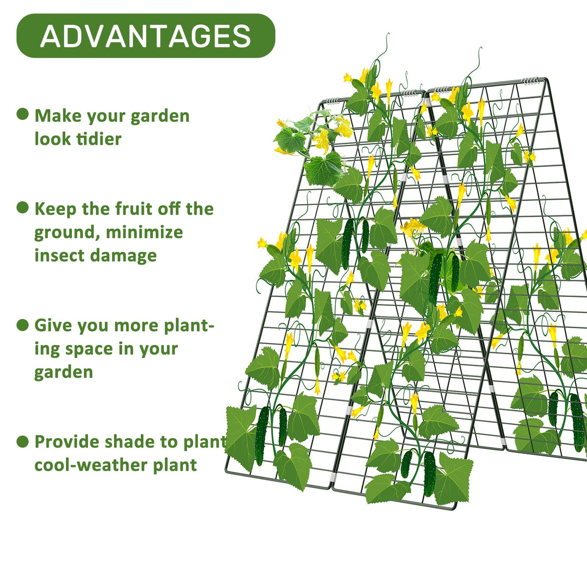Includes garden stakes and zip ties to secure vines