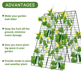 Includes garden stakes and zip ties to secure vines