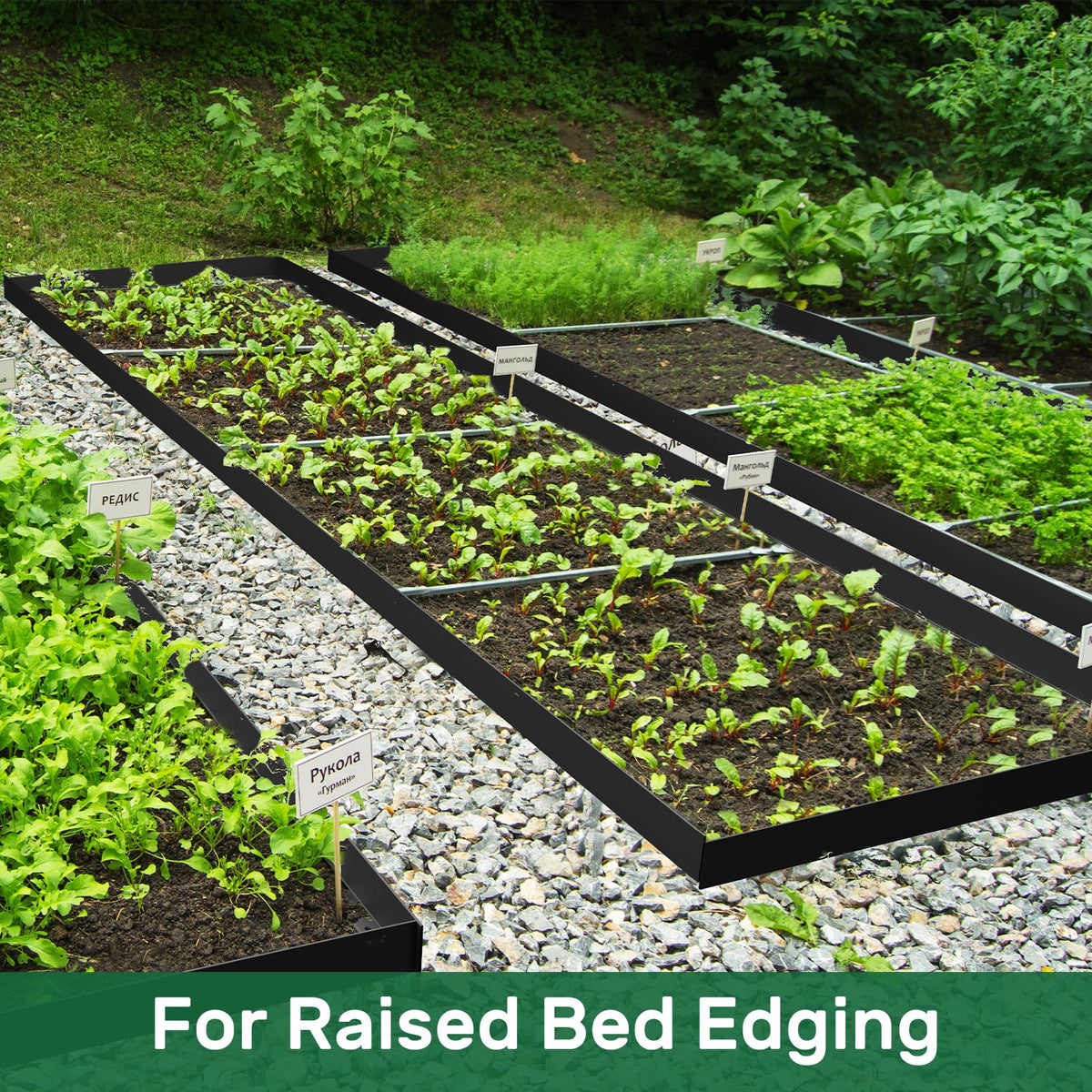 AGTEK no-dig edging installation minimizes soil disruption