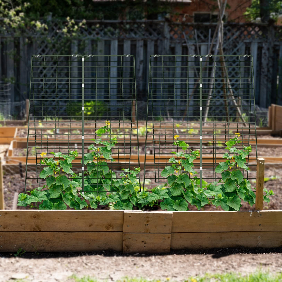 Versatile A-frame trellis adds vertical space for plants and flowers