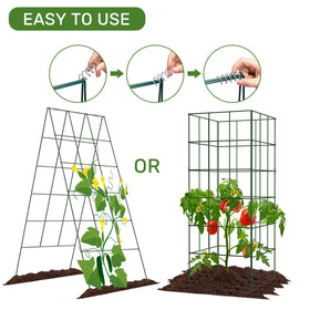 AGTEK zip ties secure vines and prevent sagging.