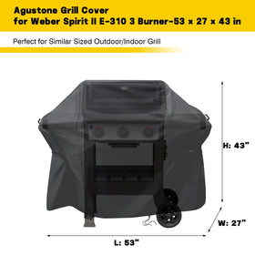 Agustone Weber Spirit E-425 front view cover shields against rain