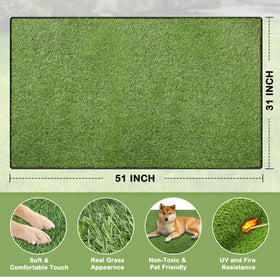 aHeemo soft realistic grass mat feels like real turf for comfortable pets.