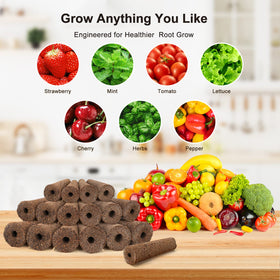 Ahopegarden year-round hydroponics kit enables diverse crop ideas