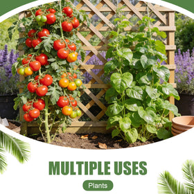Ahrltim multi-purpose ties for home and office organization