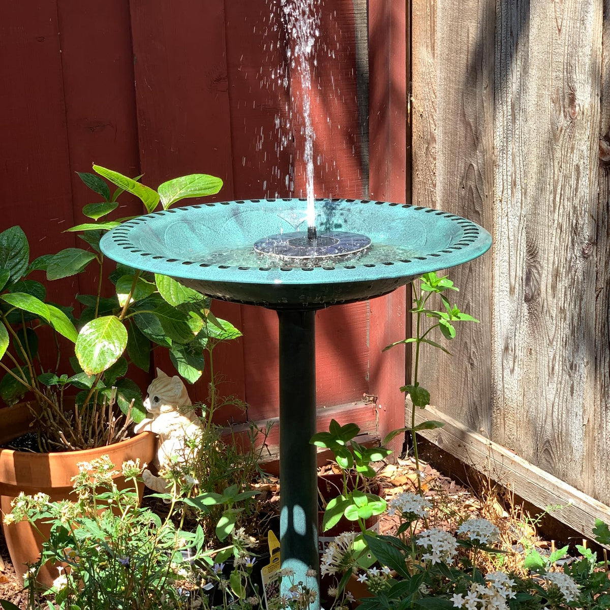 Aiddwrron Bird Bath attracting birds and butterflies to yard