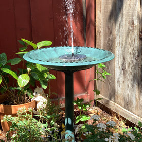 Aiddwrron Bird Bath attracting birds and butterflies to yard