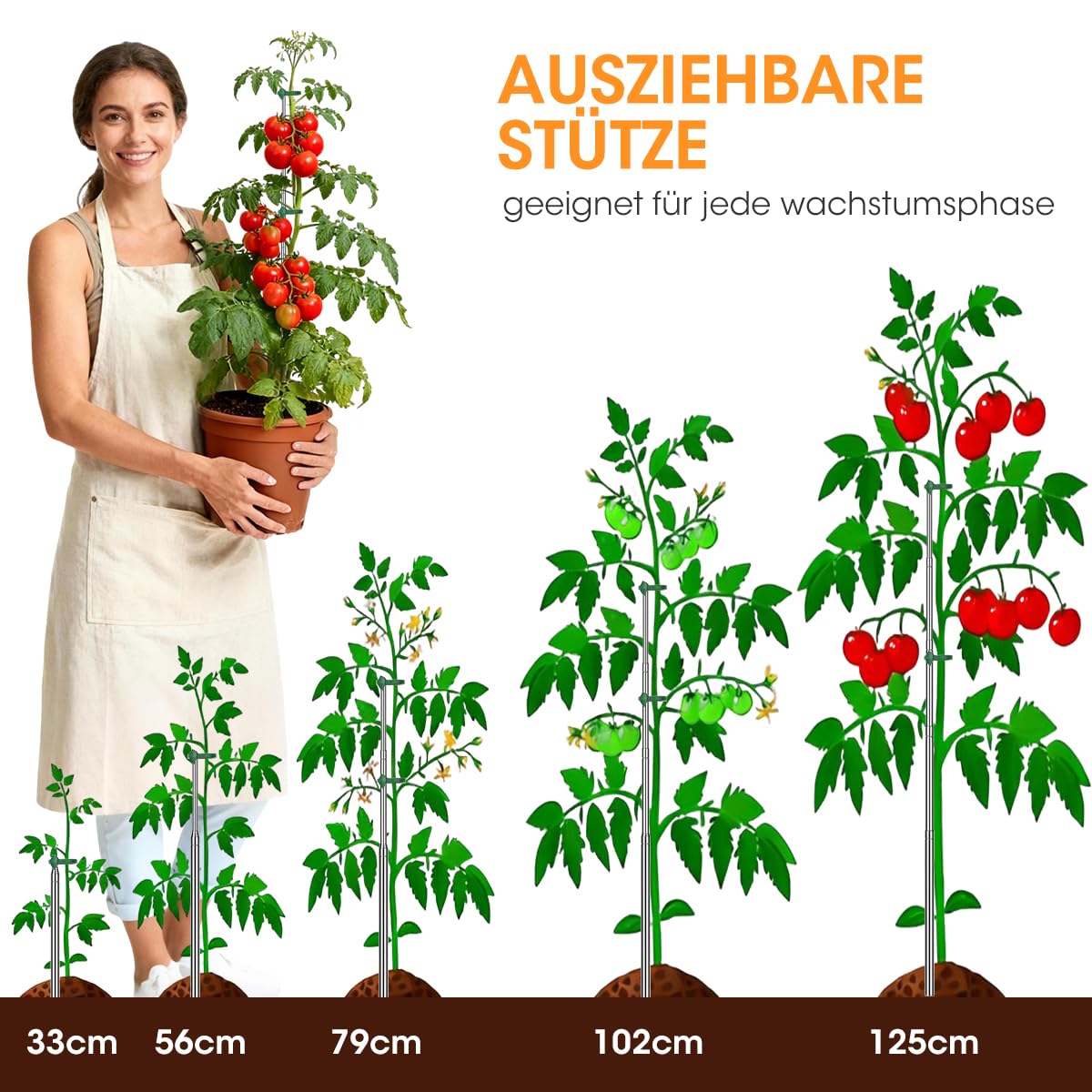 AIEVE plant stakes for tomatoes and climbing vegetables.