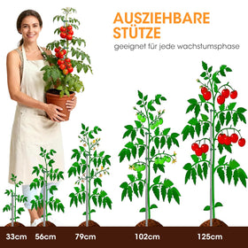 AIEVE plant stakes for tomatoes and climbing vegetables.