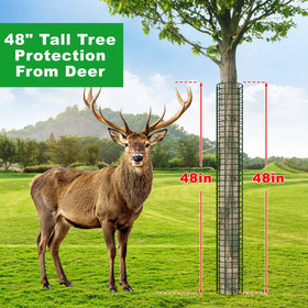 Aifanss metal mesh guards around trunk allow airflow while shielding from garden tools.