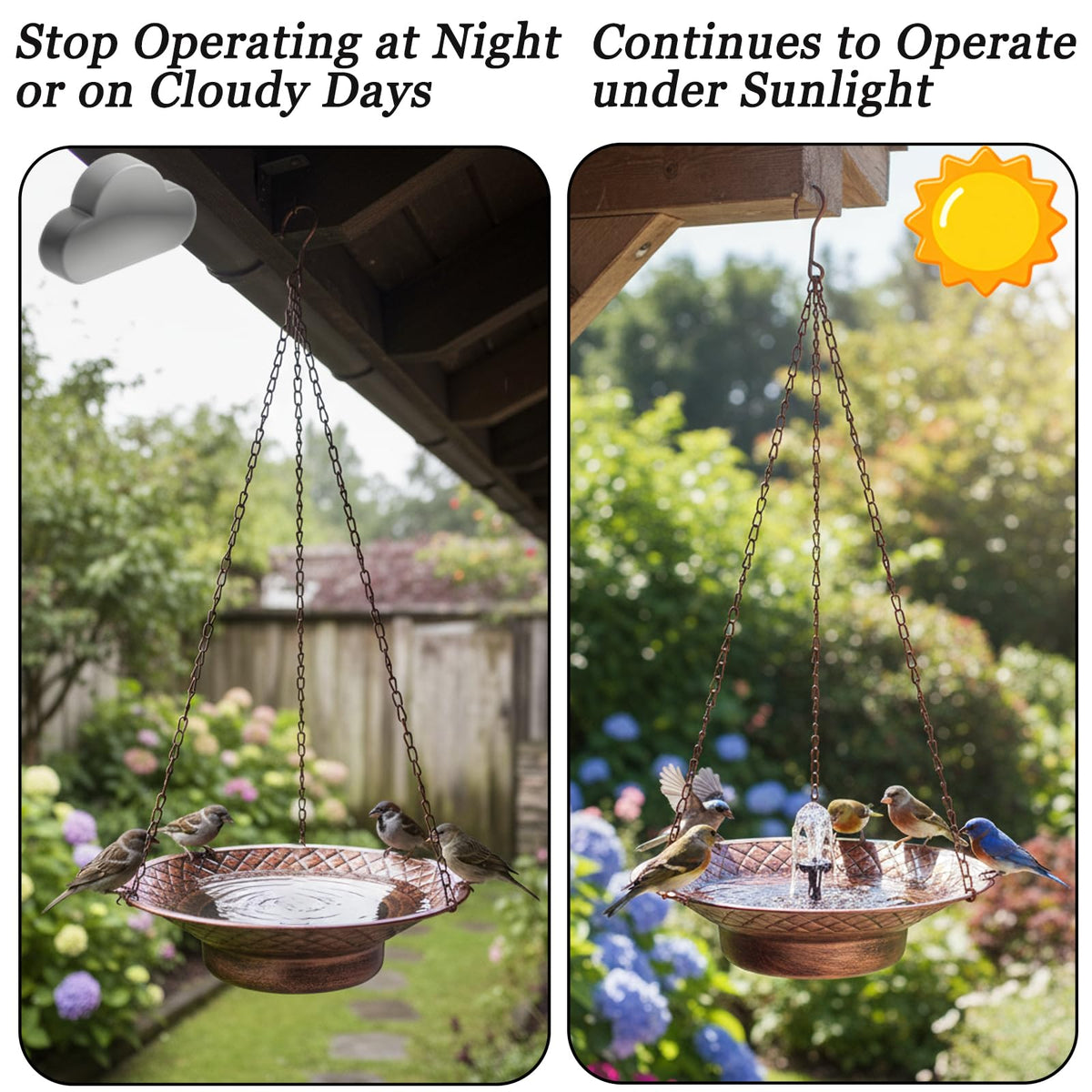 Aifeorzo seed-feeding option bird bath invites birds for close observation