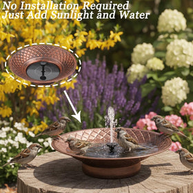 Solar-powered pump starts automatically when sun is bright for birds