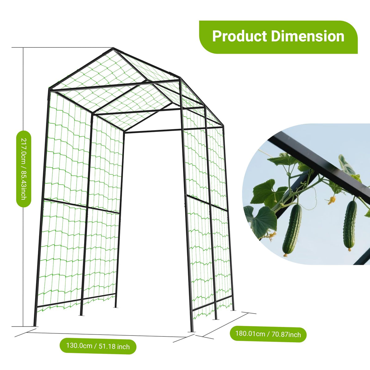 AIMUCT arch trellis multi-purpose garden feature for fruit, vegetables, and flowers.