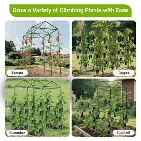 AIMUCT garden arch easy assembly with ground stakes for stability.