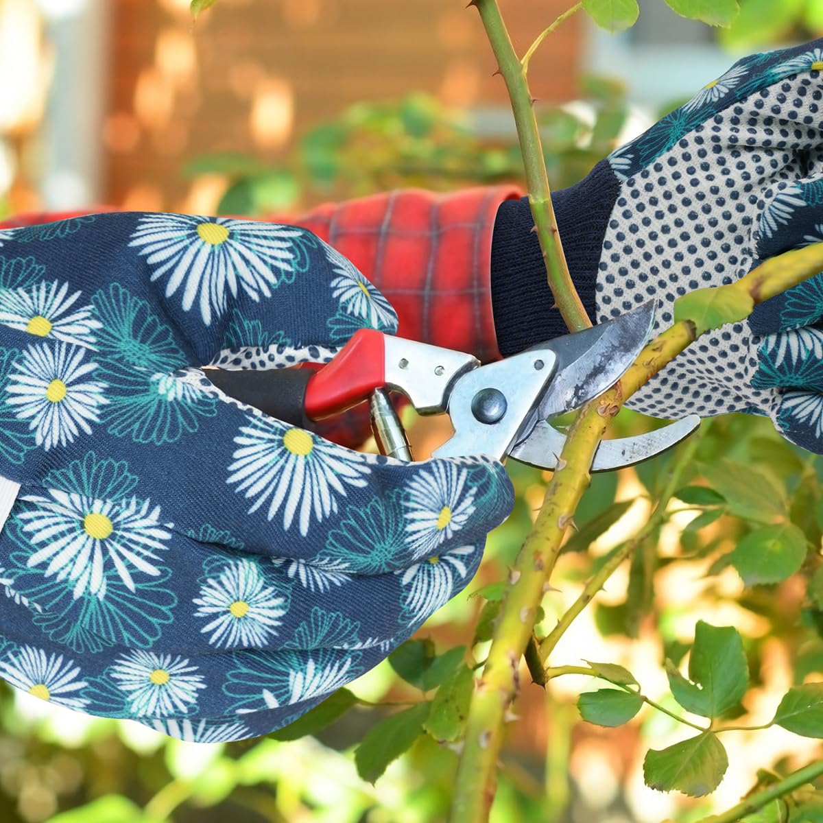 Ainiv three-color option set supports personal style and practicality