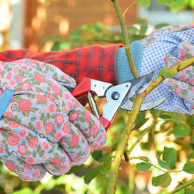 Ainiv gift-ready package suits gardeners and hobbyists alike.