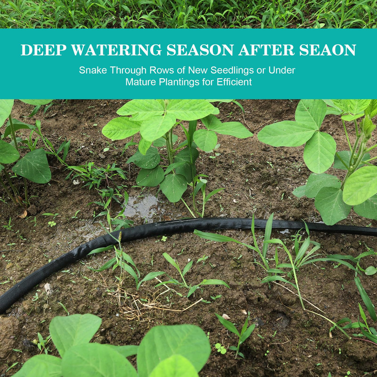 AIODE water-saving application in vegetable garden