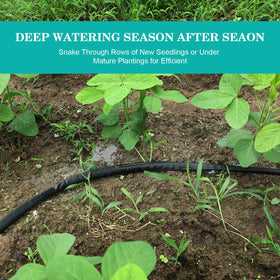 AIODE water-saving application in vegetable garden