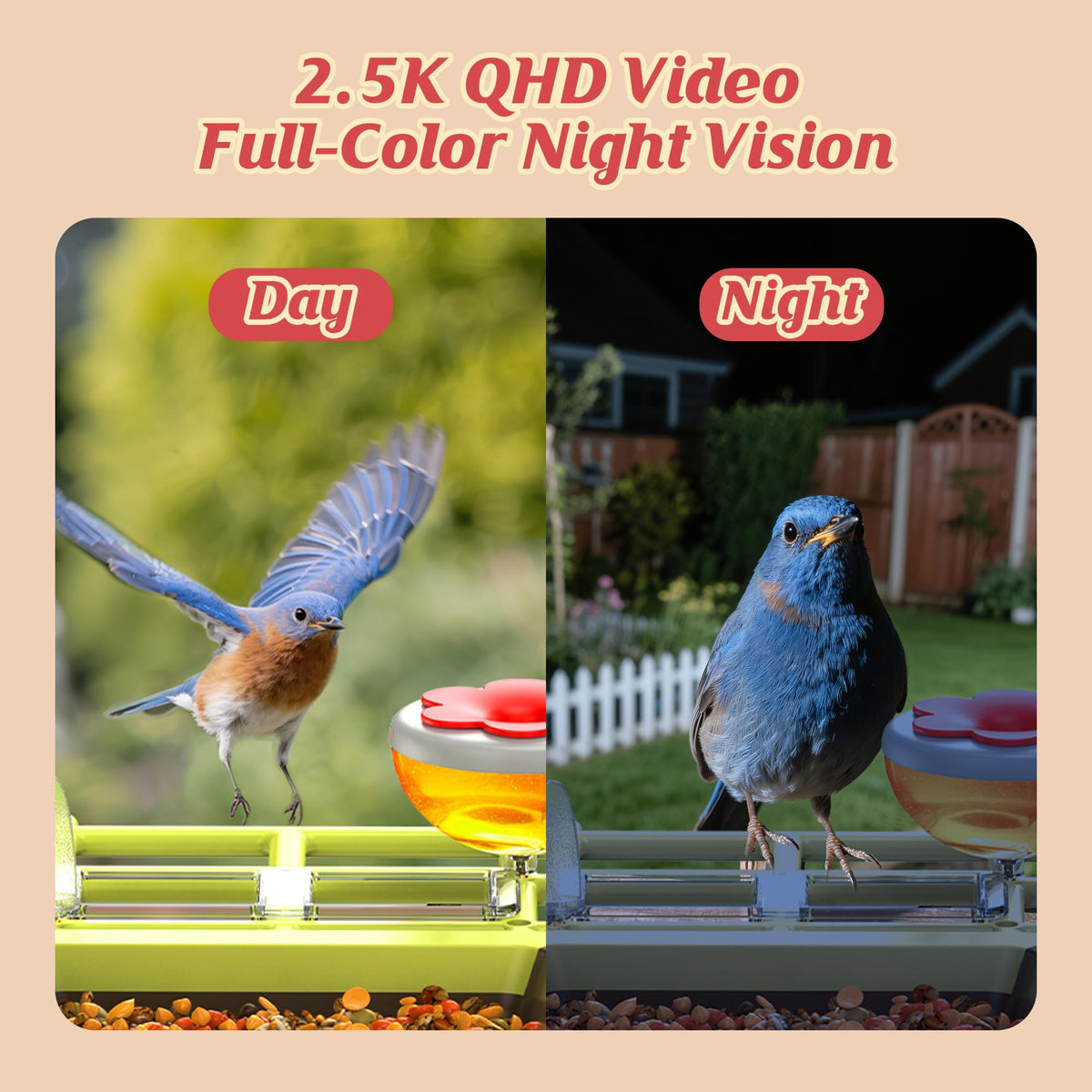 AiPoaaol AI bird identification highlights species in real time