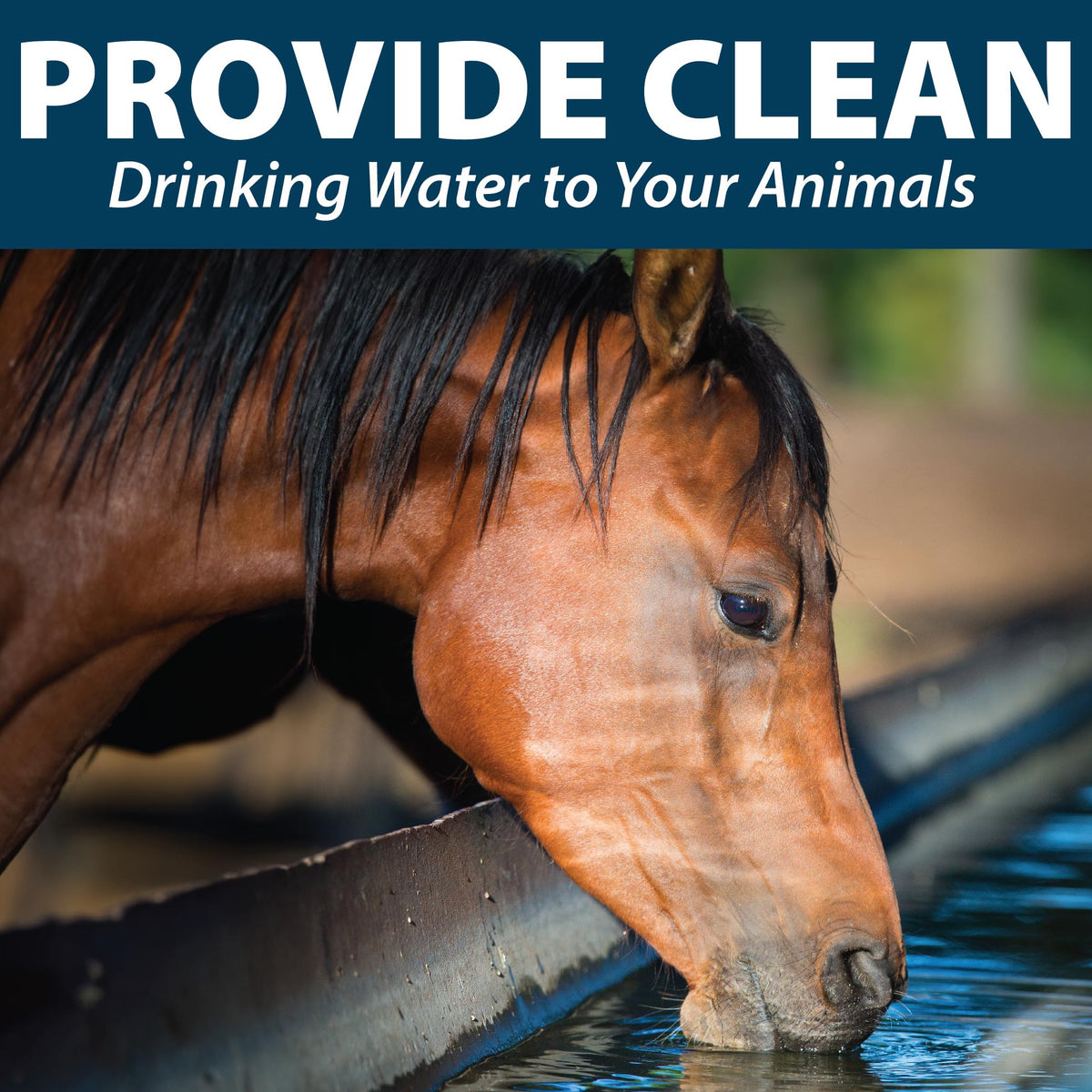 Beneficial bacteria in Airmax helping transform water for livestock.