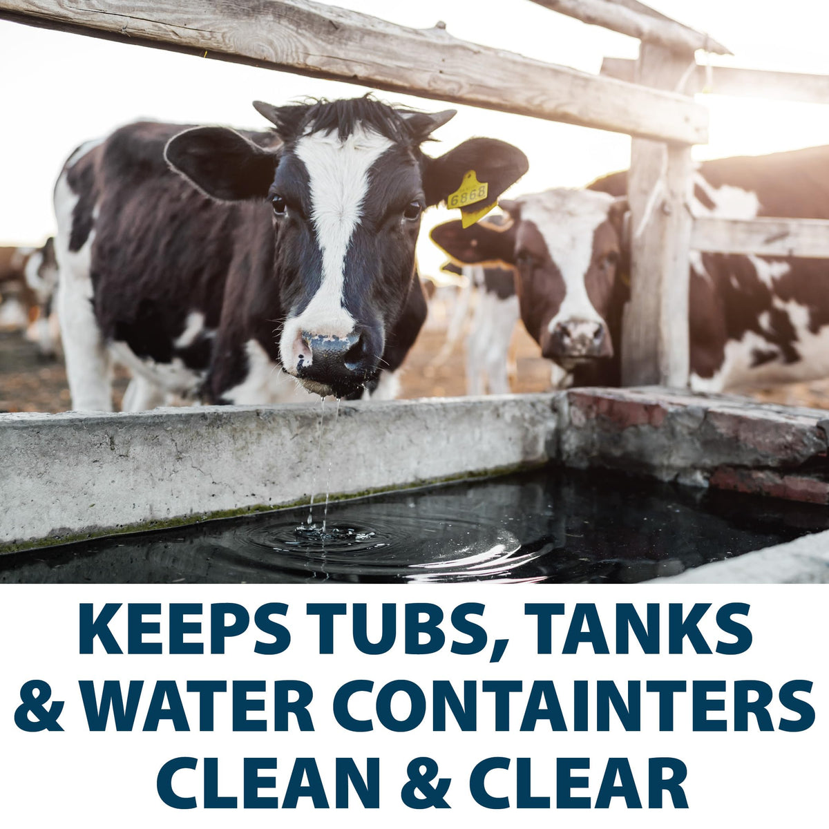 Airmax debris breakdown improves water clarity in a tank.