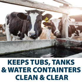 Airmax debris breakdown improves water clarity in a tank.