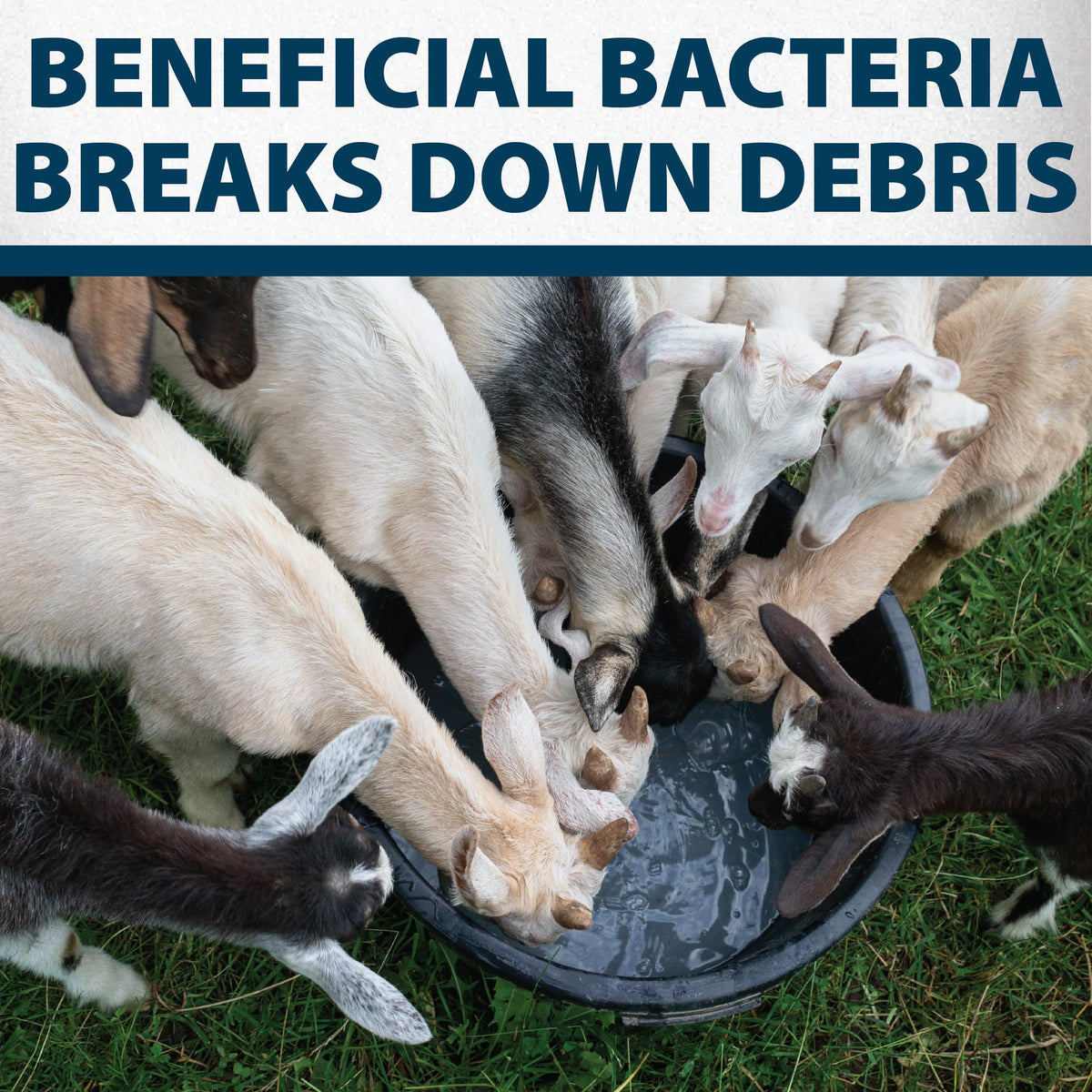Easy-to-use Airmax tablets ideal for weekly farm cleaning routines.