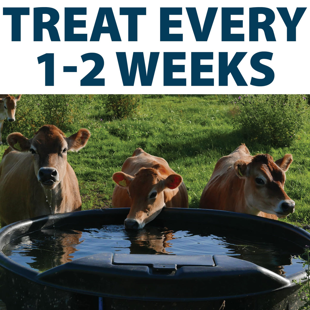 Airmax kit ready for farm, ranch, or equestrian water maintenance.