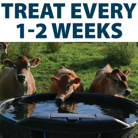 Airmax kit ready for farm, ranch, or equestrian water maintenance.