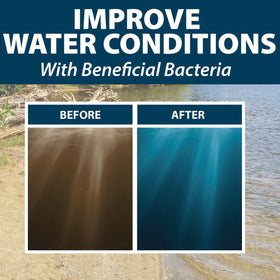 Airmax Pond Dye Plus is environmentally safe for ponds with wildlife