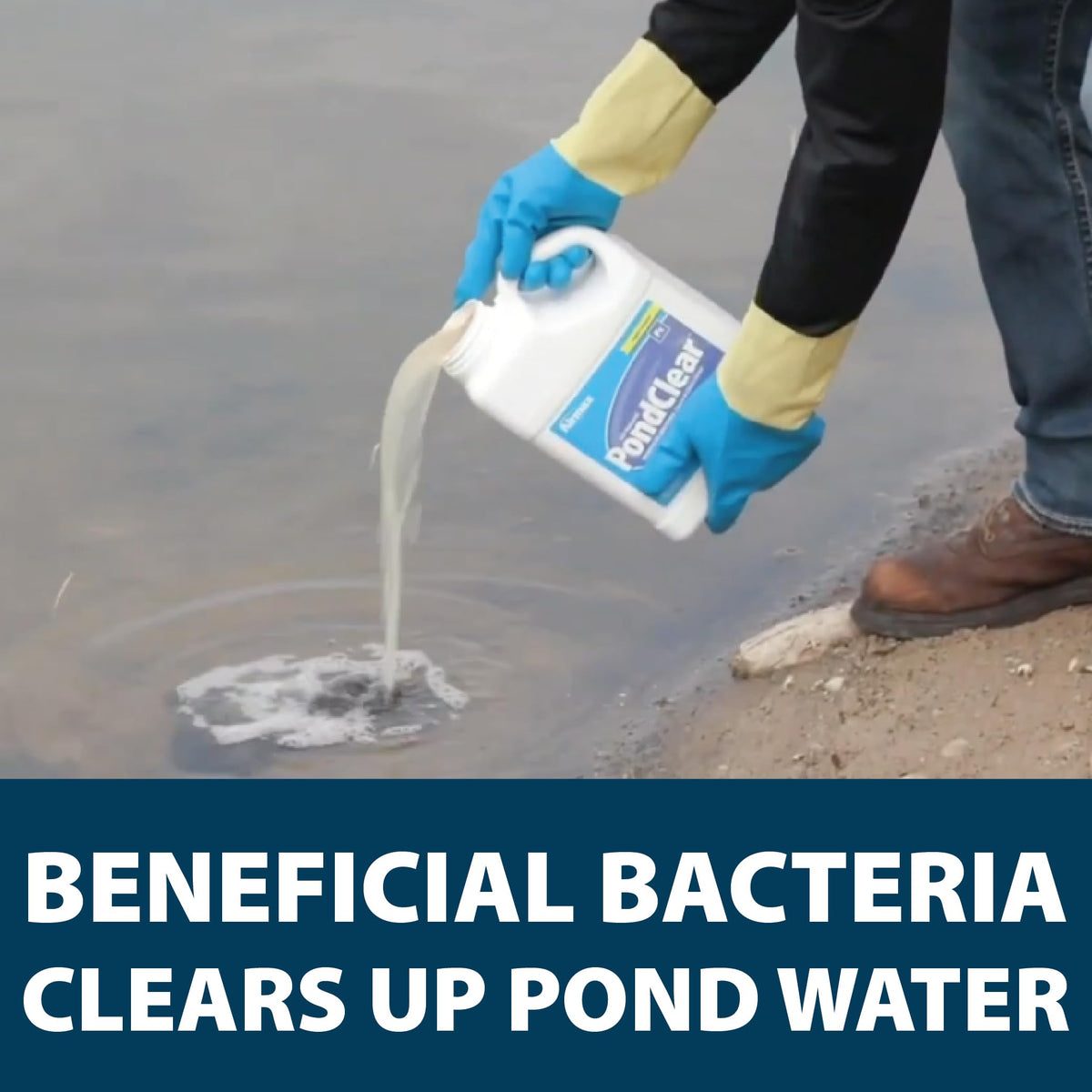 Close-up of PondClear bacteria blend label indicating powerful natural clarifier.