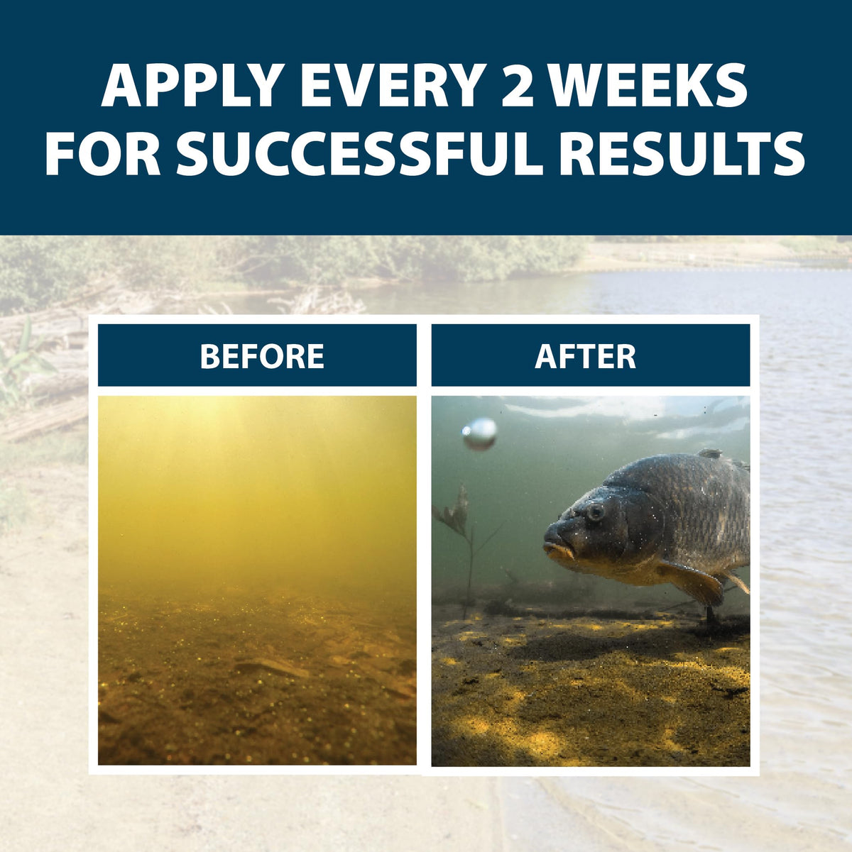 Pond surface appears refreshed with less odor after PondClear use.