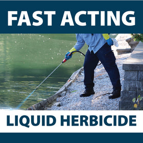 Airmax Shoreline Defense applied to a pond to manage aquatic weeds.